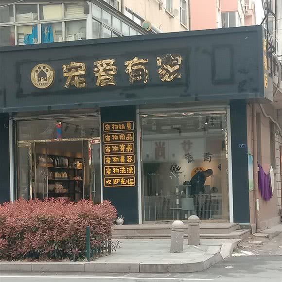 宠爱有家:青岛市胶州市胶州市附近