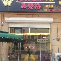 鑫泰格宠物狗会所:青岛市胶州市胶州市附近