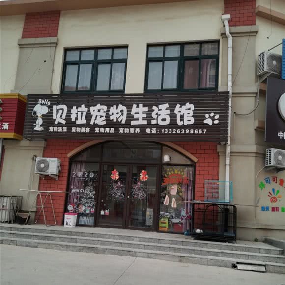 贝拉宠物生活馆:青岛市胶州市胶州市附近