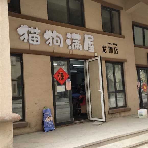 猫狗满屋宠物店:青岛市胶州市胶州市附近
