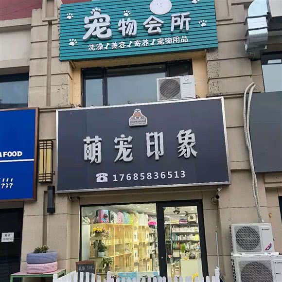 萌宠印象宠物会所:青岛市胶州市胶州市附近