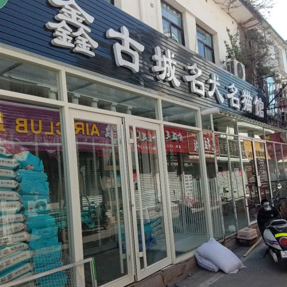 鑫古城名犬名猫馆:青岛市胶州市胶州市附近