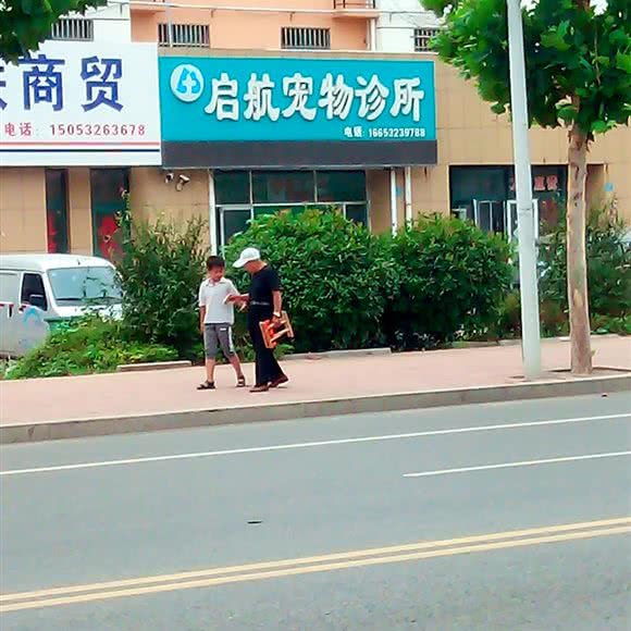 启航宠物诊所:青岛市胶州市胶州市附近