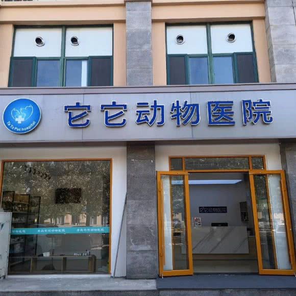 它它动物医院:青岛市胶州市胶州市附近