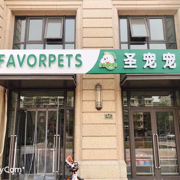 圣宠宠物(万新店):天津城区河东区卫国道附近