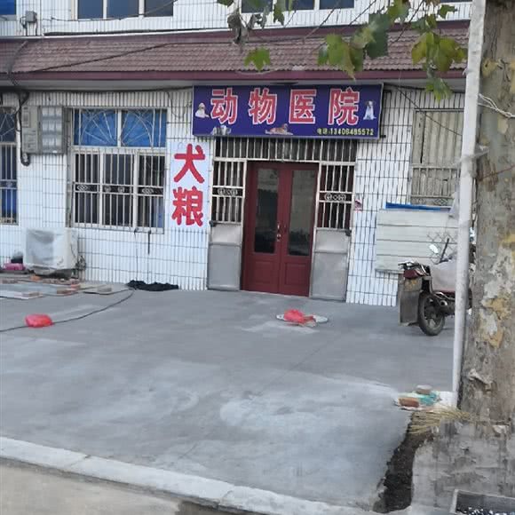 南关动物医院:青岛市胶州市胶州市附近