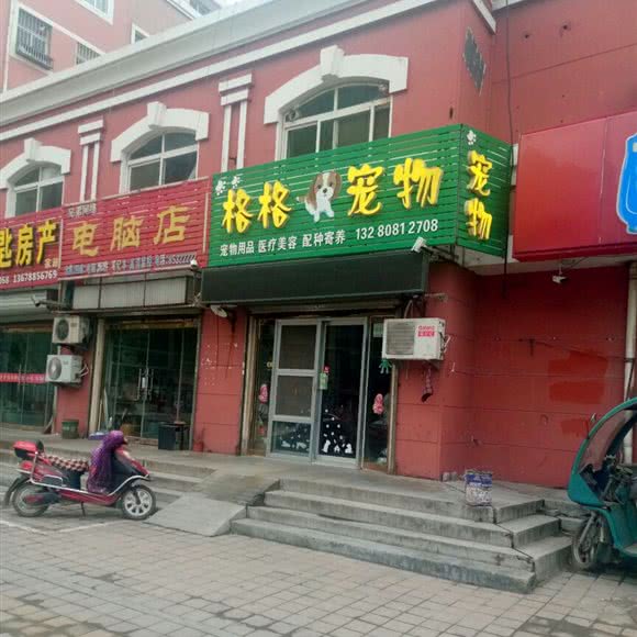 格格宠物:青岛市平度市平度市附近