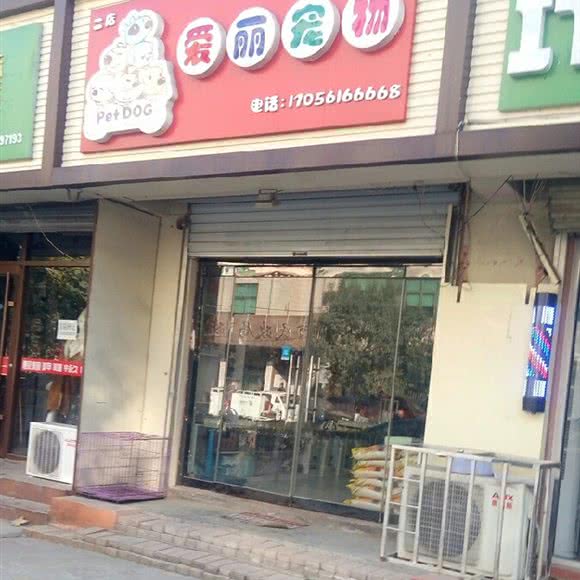 爱丽宠物:青岛市平度市平度市附近