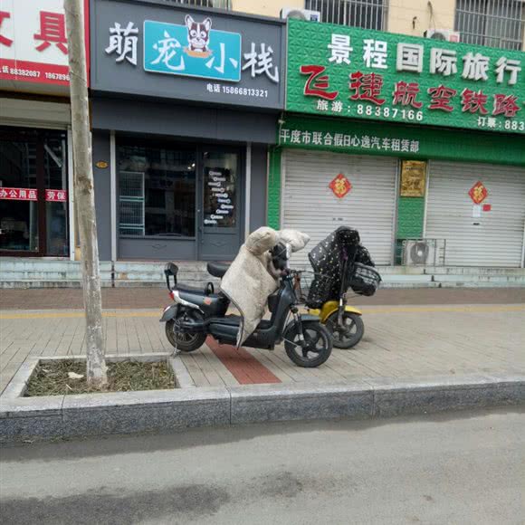 萌宠小栈:青岛市平度市平度市附近