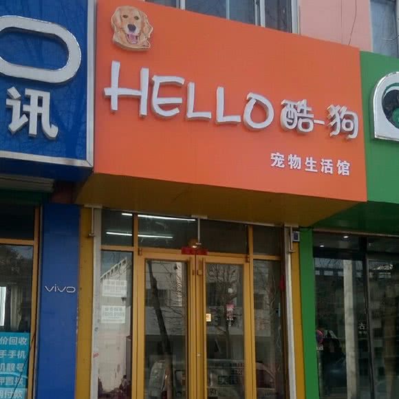 Girl 酷狗宠物生活馆:青岛市平度市平度市附近
