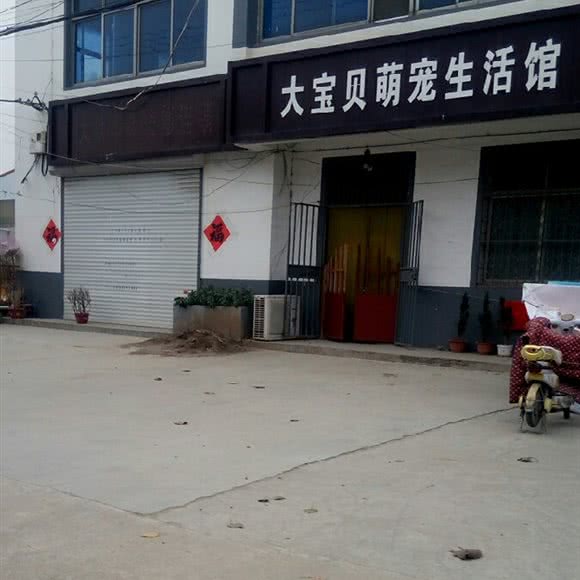 大宝贝萌宠生活馆:青岛市平度市平度市附近