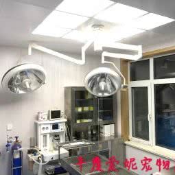 平度市爱妮宠物医院:青岛市平度市平度市附近