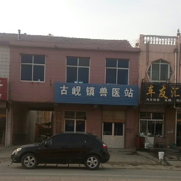 古岘镇兽医站:青岛市平度市平度市附近