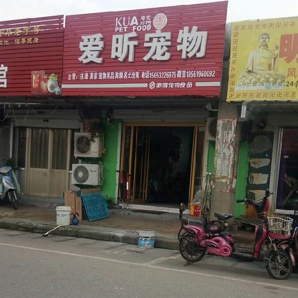 爱昕宠物:青岛市莱西市莱西市附近