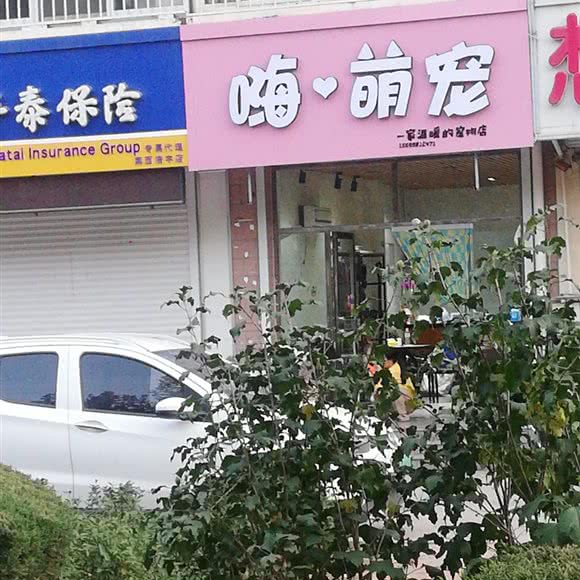 嗨萌宠:青岛市莱西市莱西市附近