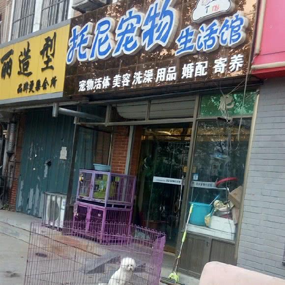 托尼宠物生活馆:青岛市莱西市莱西市附近