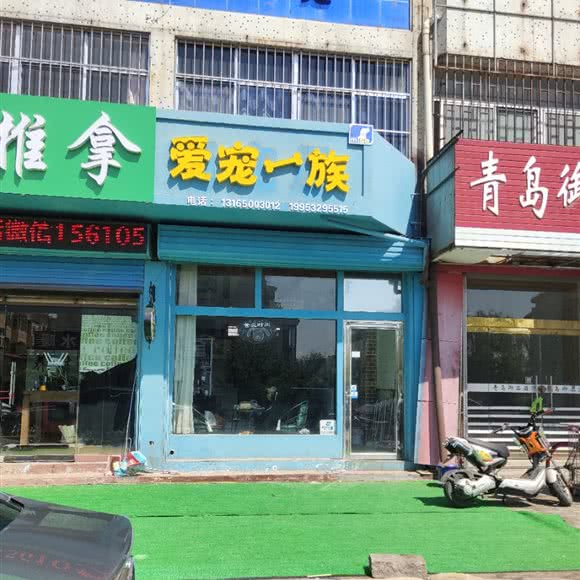 爱宠一族:青岛市莱西市莱西市附近