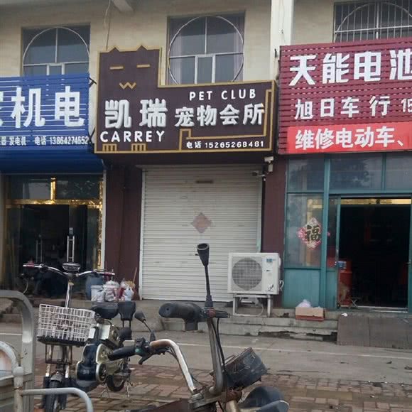 凯瑞宠物会所:青岛市莱西市莱西市附近