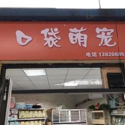 袋子萌宠宠物店:天津城区河西区围堤道沿线附近