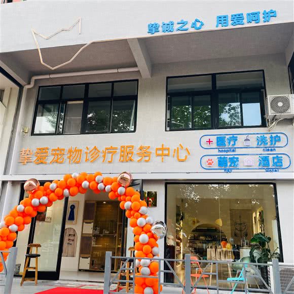 挚爱宠物诊所:青岛市莱西市莱西市附近