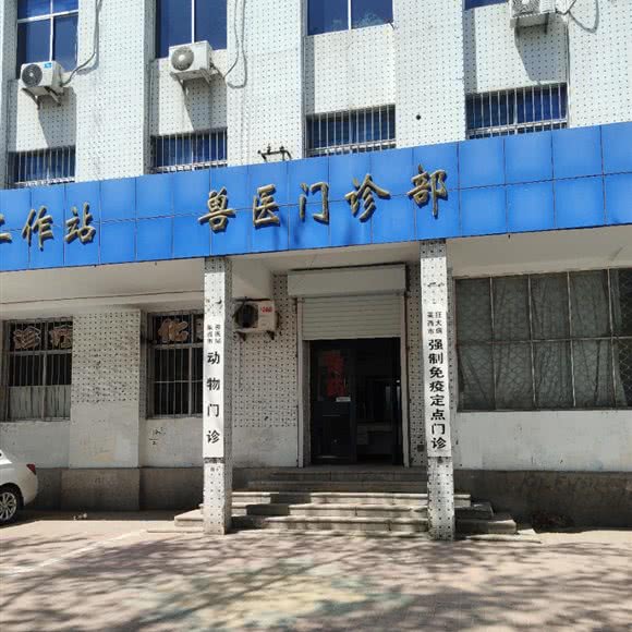兽医站宠物门诊:青岛市莱西市莱西市附近