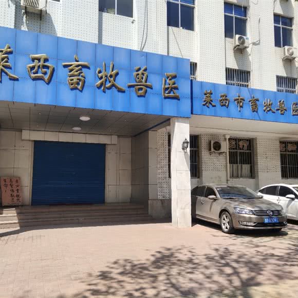 莱西市畜牧兽医工作站:青岛市莱西市莱西市附近