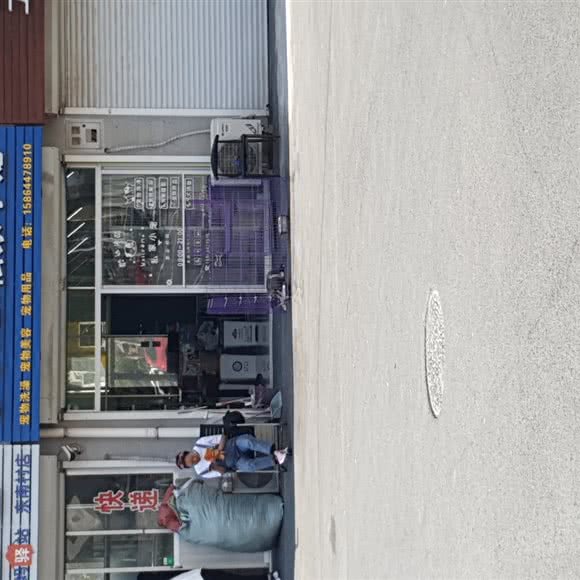 Di:Zi私家小宠:淄博市张店区山东理工大学附近