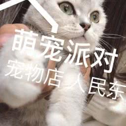 萌宠派对:淄博市张店区人民东路附近