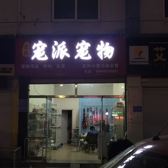 宠派宠物门诊:淄博市张店区人民东路附近