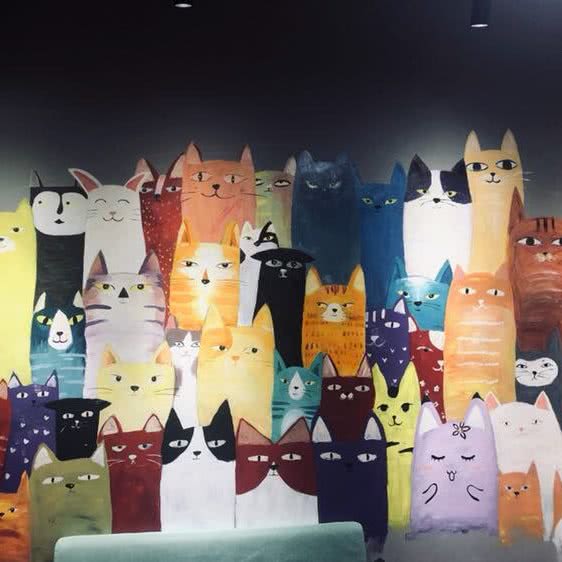 秋天的宠物店:淄博市张店区中关村科技城附近