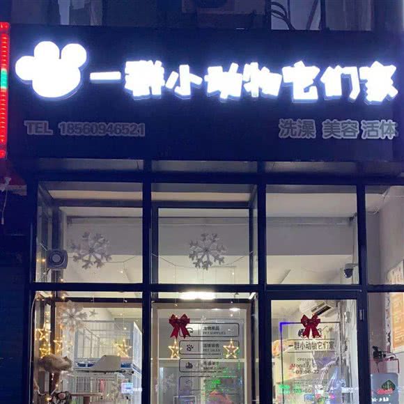 一群小动物它们家:淄博市张店区中关村科技城附近