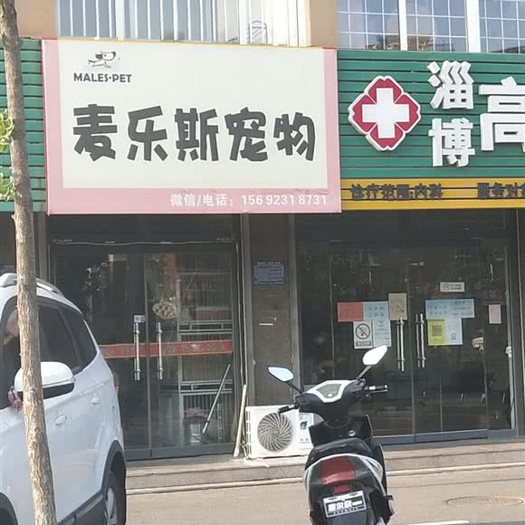 麦乐斯宠物:淄博市张店区高新区附近