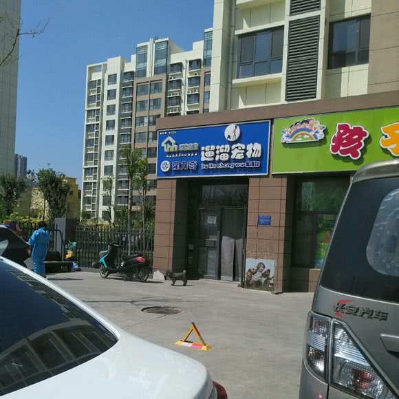 遛遛宠物:淄博市张店区高新区附近