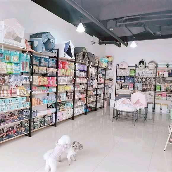 初心宠物生活馆:淄博市张店区高新区附近