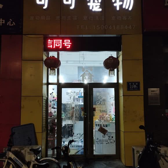 可可宠物:淄博市张店区王府井附近