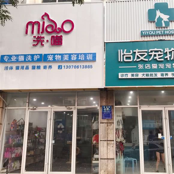 怡友宠物医院·洗喵专业猫洗护:淄博市张店区明清街附近