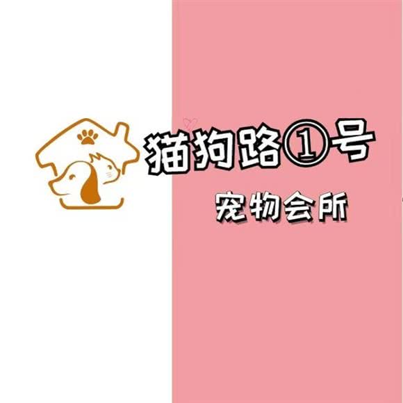 猫狗路1号咖啡店:淄博市张店区凯德广场附近