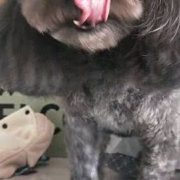 宠一生宠物医疗美容:淄博市张店区火车站附近