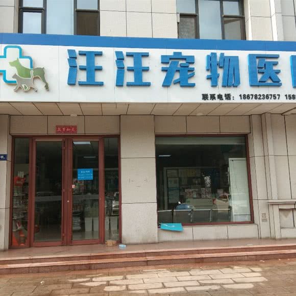 汪汪宠物医院:淄博市张店区植物园附近