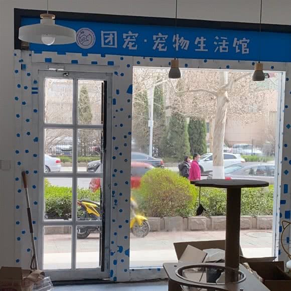 团宠?宠物狗生活馆:淄博市张店区尚美第三城附近