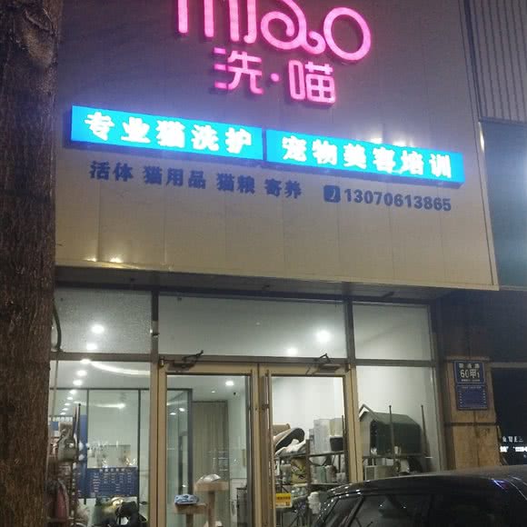 洗喵:淄博市张店区联通路附近