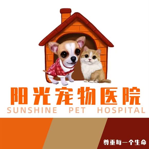 阳光宠物医院:淄博市张店区联通路附近