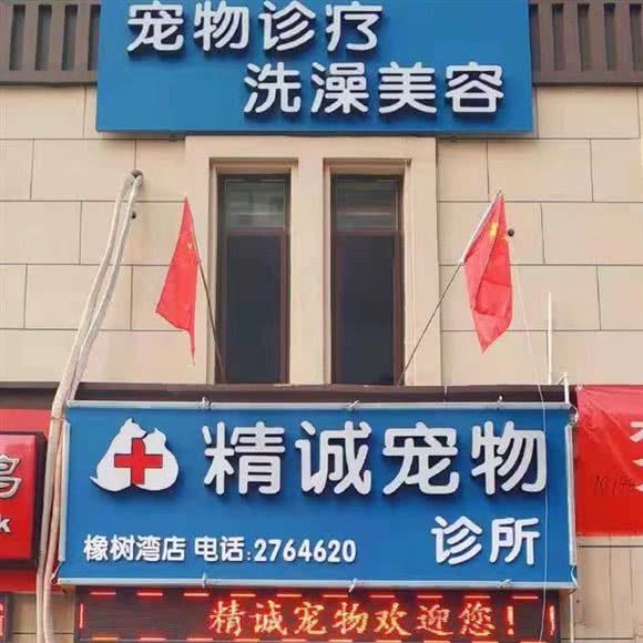 精诚狗狗诊所:淄博市张店区佳世客附近