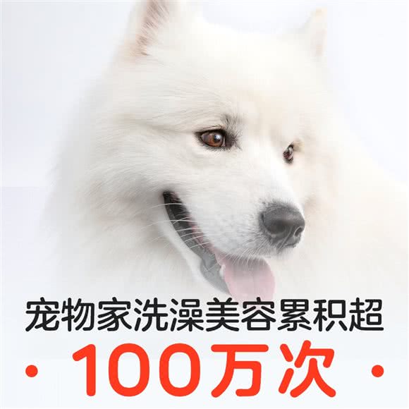 宠物家(东直门店):北京城区东城区东直门附近