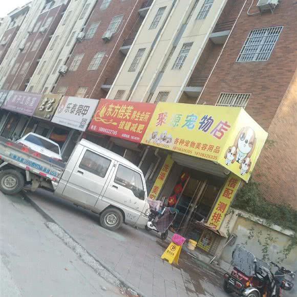 聚源宠物店:枣庄市市中区三角花园/汽车总站附近