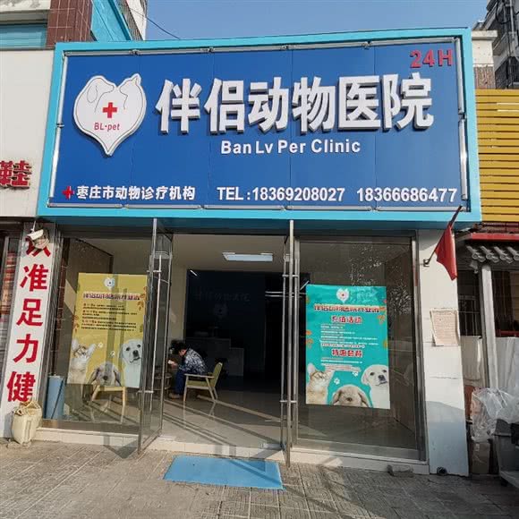 伴侣动物医院中心:枣庄市市中区光明广场附近