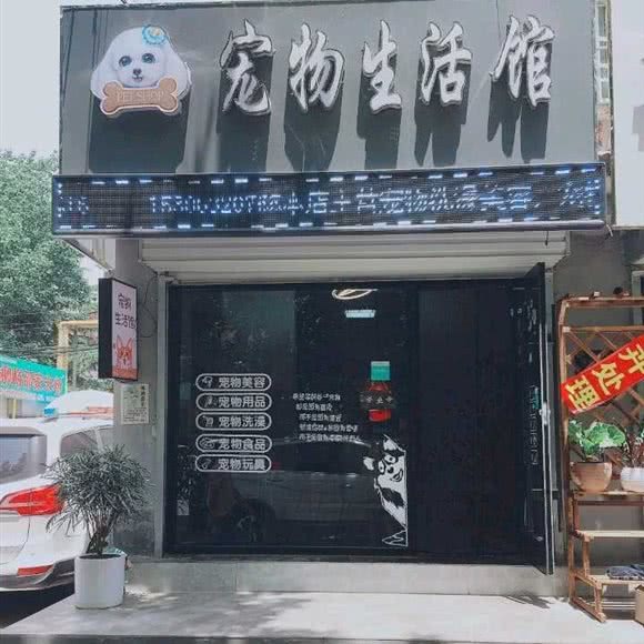 宠物生活馆:枣庄市市中区龙头路附近