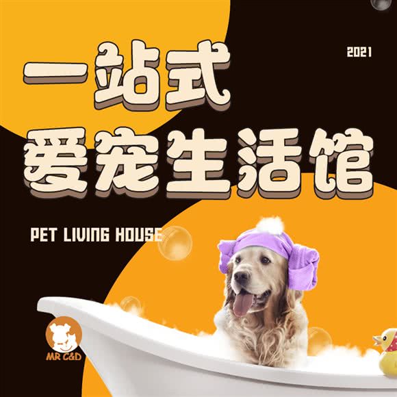 猫狗先生宠物生活馆·撸猫馆:天津城区河西区小海地附近