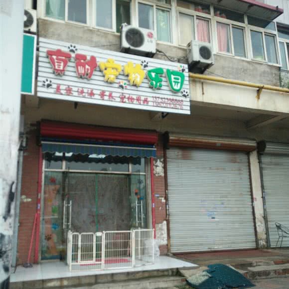 真耐宠物乐园:天津城区河西区小海地附近