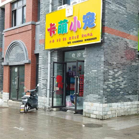 卡萌小宠:枣庄市台儿庄区金光路附近